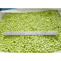 Supply Frozen Vegetables IQF Green Soybeans Peeled Blanching Edamame